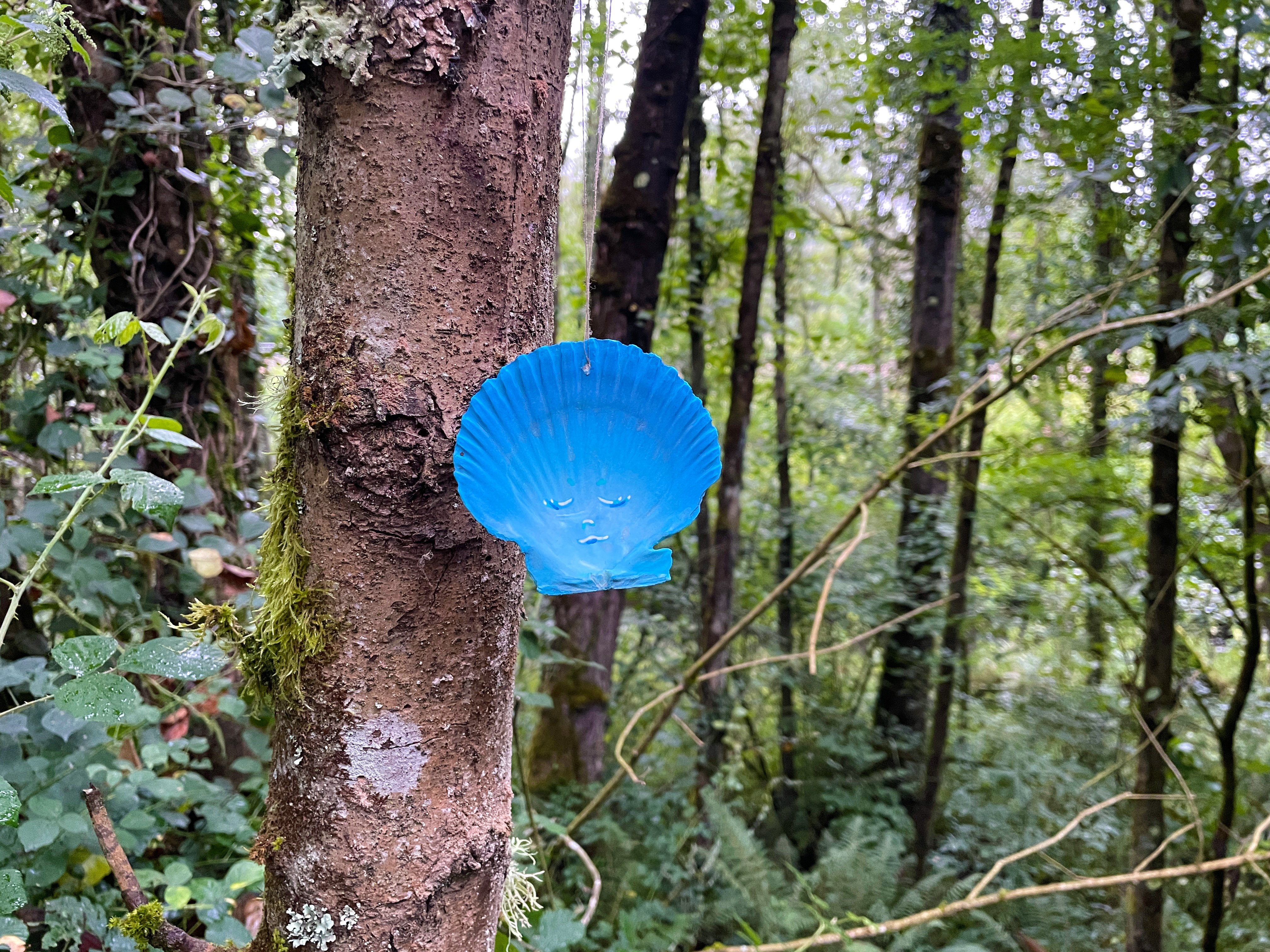 Fuego fatuo vieira pintada colgada en el bosque
